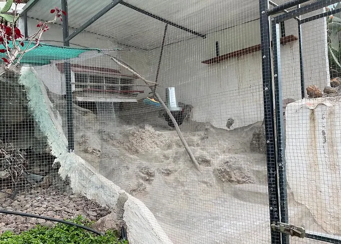 Casa Amarilla Guía de Isora