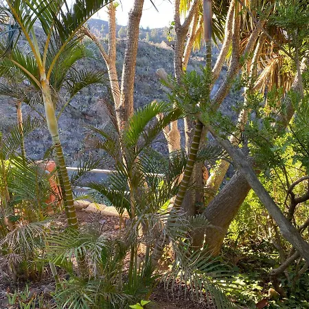 Casa Amarilla Vakantiehuis Guía de Isora